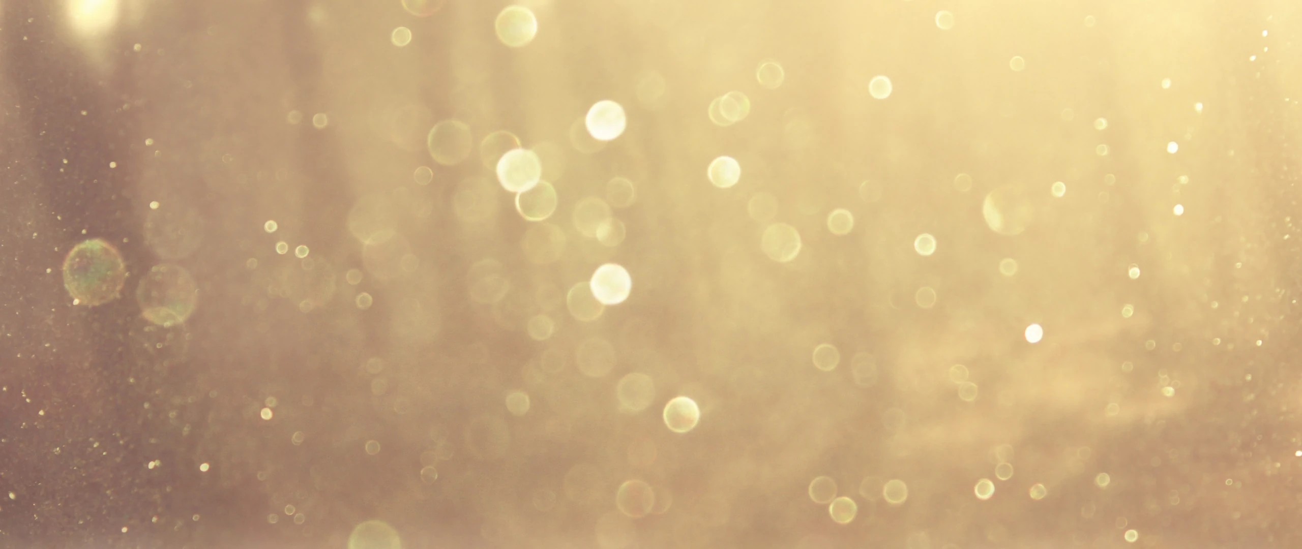 news-banner