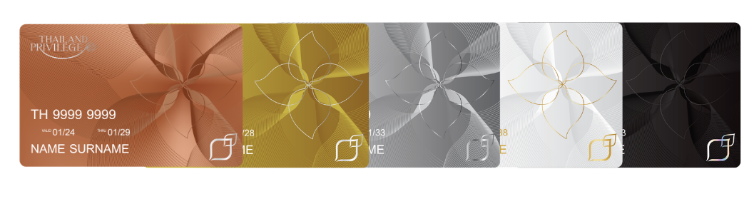Visa Membership card